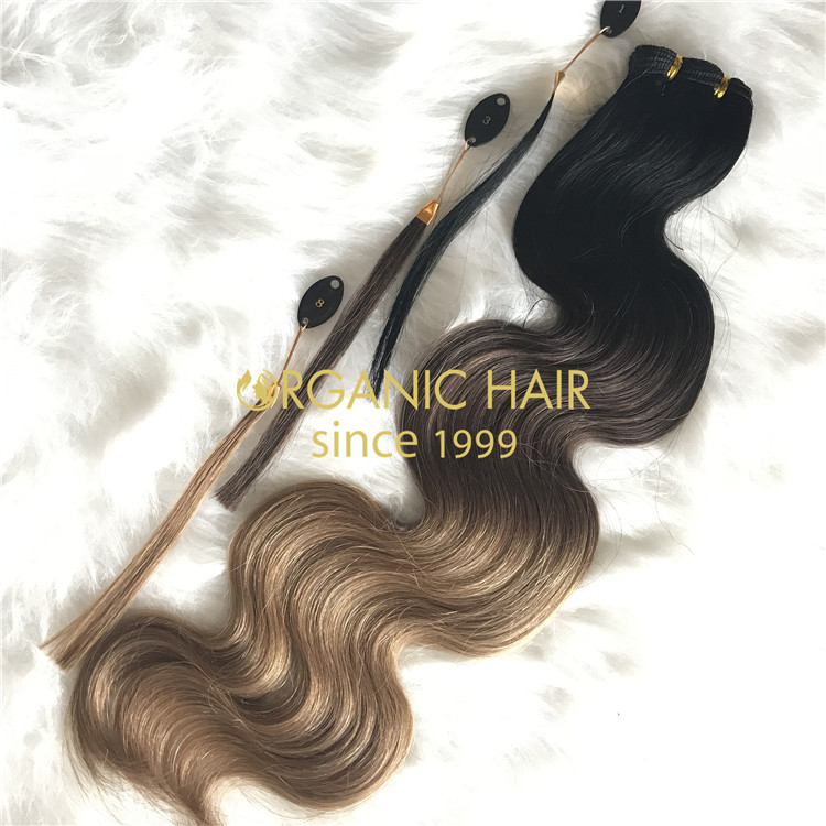 Customized human hand tied wefts rooted color body wave X208